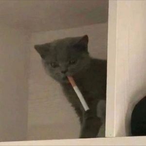 Meet your Posher, Anna grace